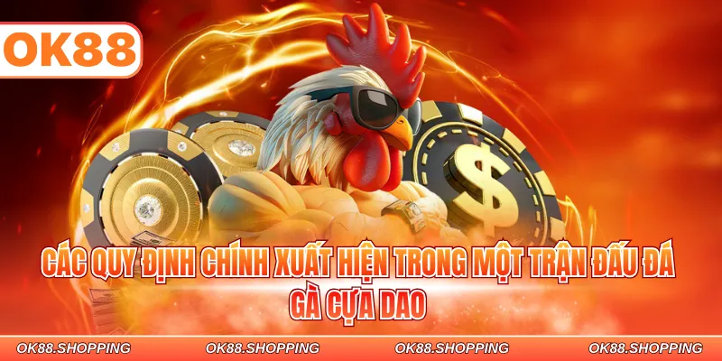 Các quy định chính xuất hiện trong một trận đấu đá gà cựa dao