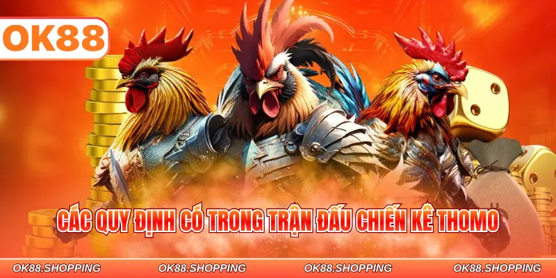 Các quy định có trong trận đấu chiến kê Thomo