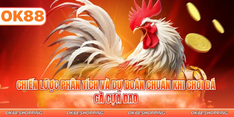 Chiến lược phân tích và dự đoán chuẩn khi chơi đá gà cựa dao
