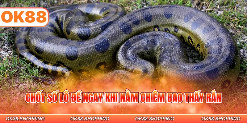 Chốt số lô đề ngay khi nằm chiêm bao thấy rắn