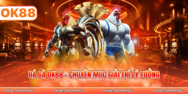 Đá gà OK88 - Chuyên mục giải trí lý tưởng