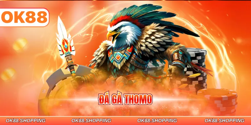 đá gà thomo