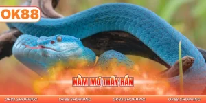 nằm mơ thấy rắn