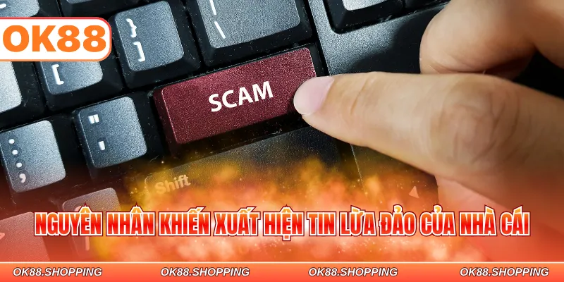Nguyên nhân khiến xuất hiện tin lừa đảo của nhà cái