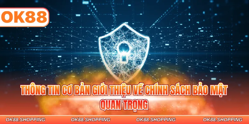 Thông tin cơ bản giới thiệu về chính sách bảo mật quan trọng