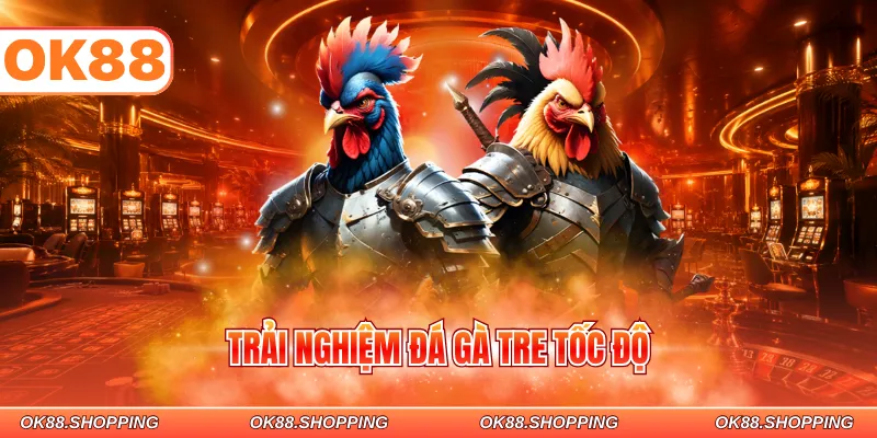 Trải nghiệm đá gà tre tốc độ
