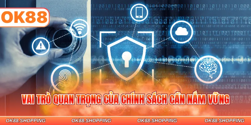 Vai trò quan trọng của chính sách cần nắm vững
